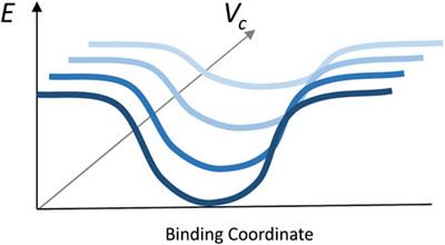 Size of the protein-protein energy funnel in crowded environment